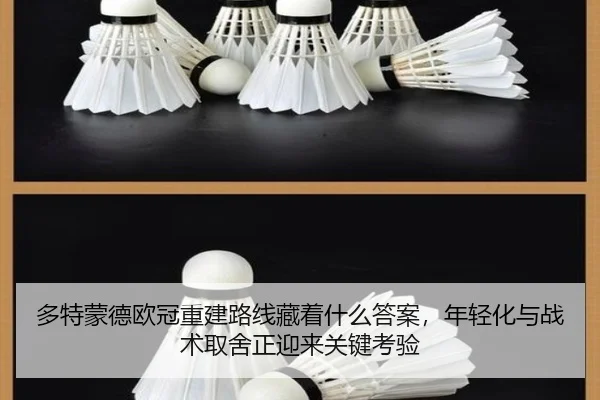 多特蒙德欧冠重建路线藏着什么答案，年轻化与战术取舍正迎来关键考验